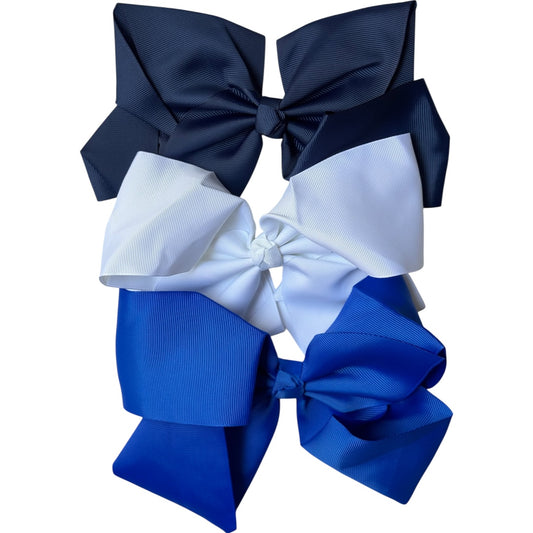 Blue Larger Bow School Set